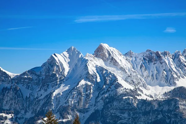 Vinter Schweiziska Alperna Schweiz — Stockfoto