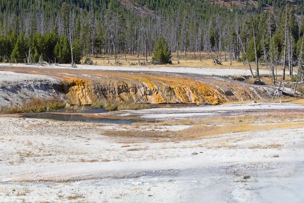 Basen Gejzerów Parku Narodowym Yellowstone Usa — Zdjęcie stockowe