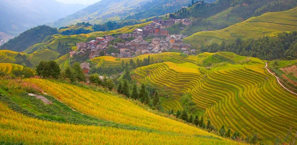 Longsheng Rice Terraces Espinha Dorsal Dragão Também Conhecido Como Longji — Fotografia de Stock