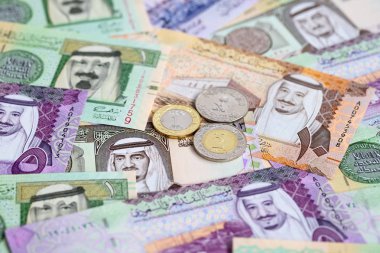 Suudi Arabistan Riyal para koleksiyonu