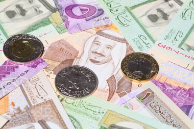 Suudi Arabistan Riyal para koleksiyonu