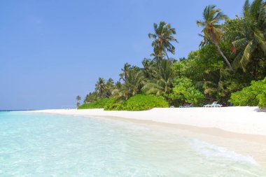 Maldivler adası. Tropiklerdeki cennet.