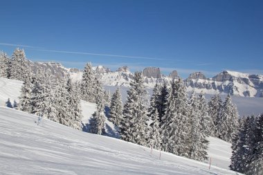 İsviçre Alplerinde kış