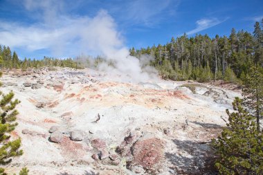 Norris gayzer havzası Yellowstone Ulusal Parkı, ABD