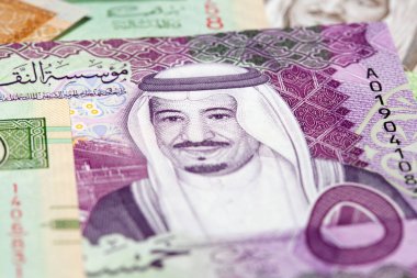 Suudi Arabistan Riyal para koleksiyonu
