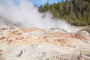 Norris gayzer havzası Yellowstone Ulusal Parkı, ABD