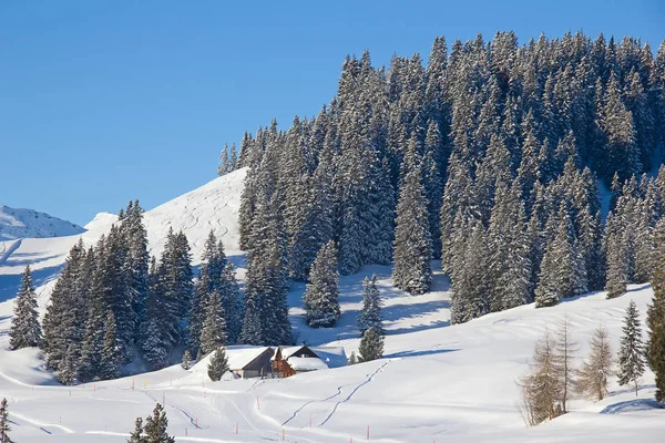 Invierno Los Alpes Suizos Suiza — Foto de Stock