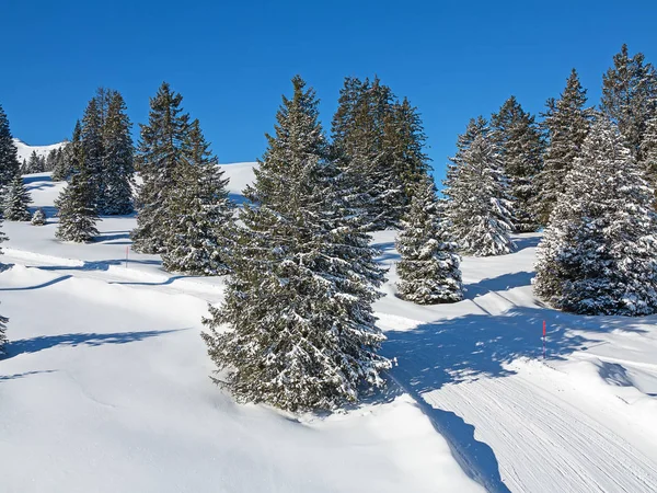 Tél Svájci Alpokban Svájc — Stock Fotó