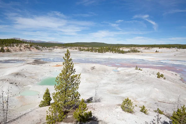 Basen Gejzerów Norris Parku Narodowym Yellowstone Usa — Zdjęcie stockowe