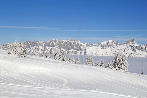 Зима Спекотних Альпах Швейцарія — стокове фото