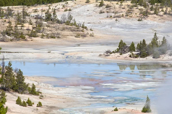 Bacia Geyser Norris Parque Nacional Yellowstone Eua — Fotografia de Stock