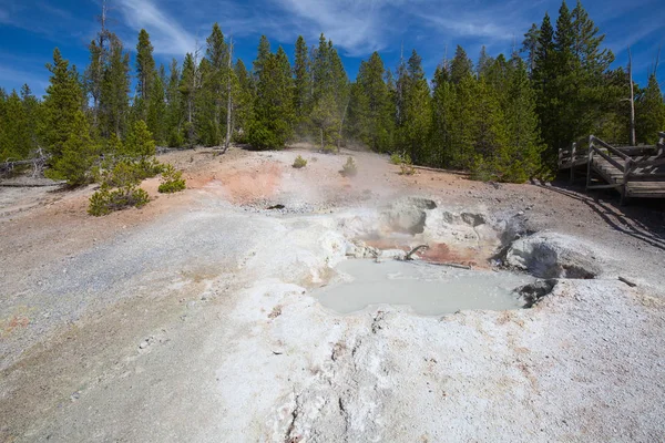 Basen Gejzerów Norris Parku Narodowym Yellowstone Usa — Zdjęcie stockowe