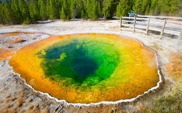 Colorful hot water pool in the Yellowstone National park, USA