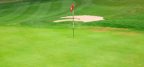 Groen Gras Van Golfbaan — Stockfoto