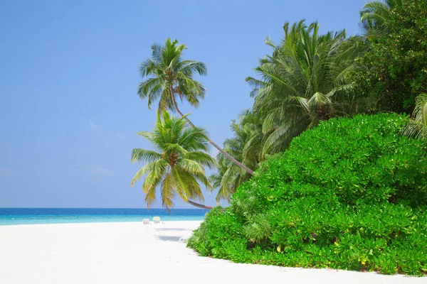 Мальдивский Остров Рай Тропиках — стоковое фото
