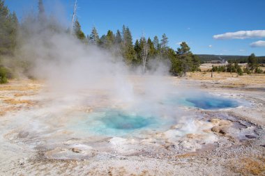 Yellowstone Ulusal Parkı, ABD 'de renkli sıcak su havuzu