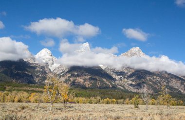 Grand Teton Ulusal Parkı, Wyoming, ABD
