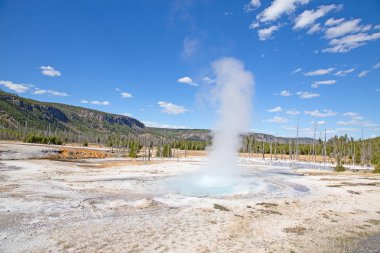 Yellowstone Ulusal Parkı 'ndaki kara kum gayzer havzası, ABD