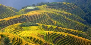 Longsheng Rice Terasları (Dragon 's Backbone) Çin' in Guilin şehrinden yaklaşık 100 km (62 mi) uzaklıkta, Longsheng County 'de bulunmaktadır.