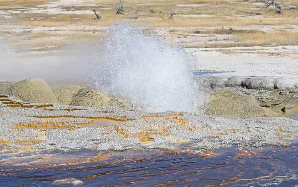 Bacia Geyser Areias Negras Parque Nacional Yellowstone Eua — Fotografia de Stock