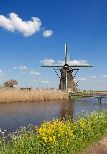 Hollanda Kinderdijk Yakınlarında Antik Yel Değirmenleri — Stok fotoğraf