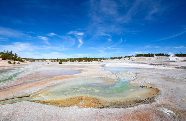 Norris geyser basin in the Yellowstone National park, USA