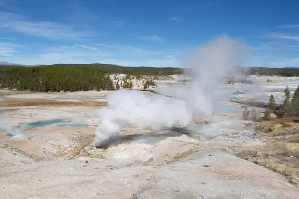 Cuenca Del Géiser Norris Parque Nacional Yellowstone Estados Unidos — Foto de Stock