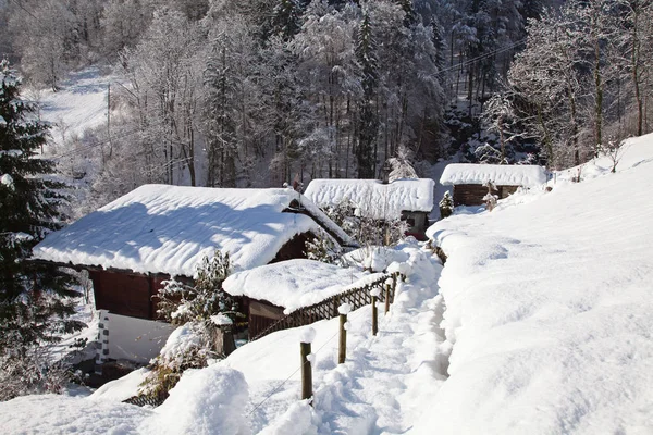 Vinter Schweiziska Alperna Schweiz — Stockfoto