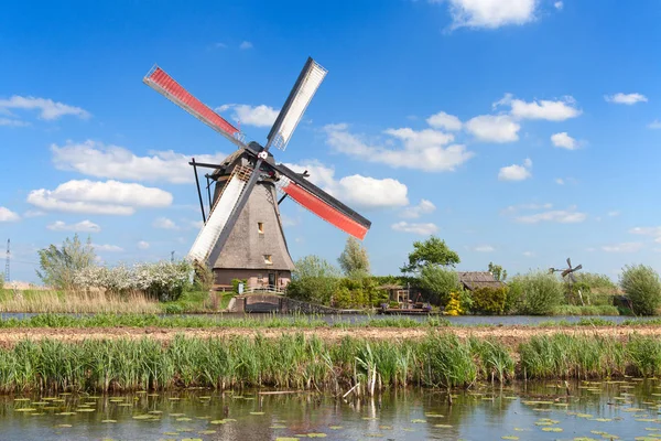 Molinos Viento Antiguos Cerca Kinderdijk Países Bajos — Foto de Stock