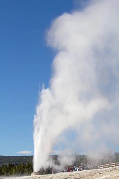 Erupción Géiser Parque Nacional Yellowstone Estados Unidos —  Fotos de Stock