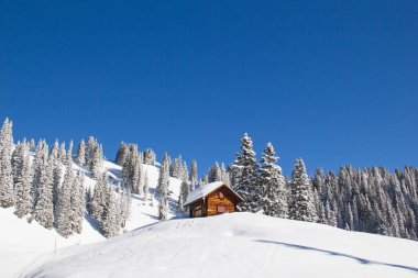 İsviçre Alplerinde kış