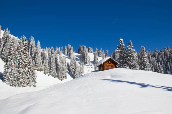 Vinter Schweiziska Alperna Schweiz — Stockfoto