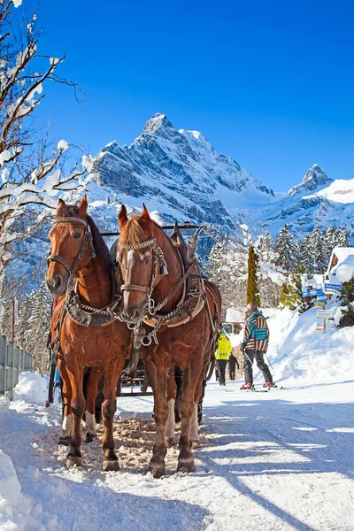 Inverno Nelle Alpi Svizzere Svizzera — Foto Stock