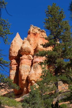Bryce Canyon Ulusal Parkı Utah, ABD