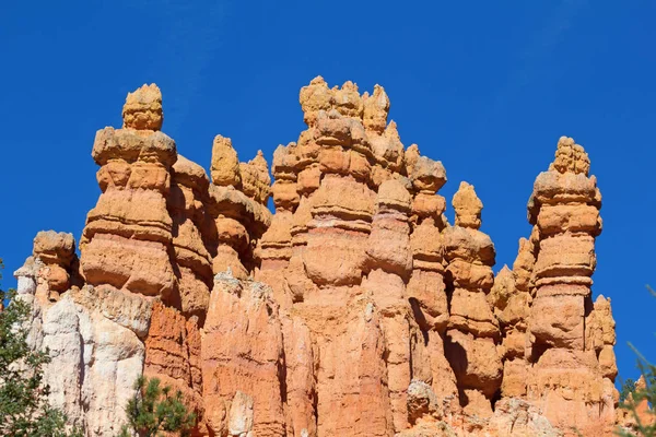 Bryce Canyon National Park Utah Usa — Stock Photo, Image