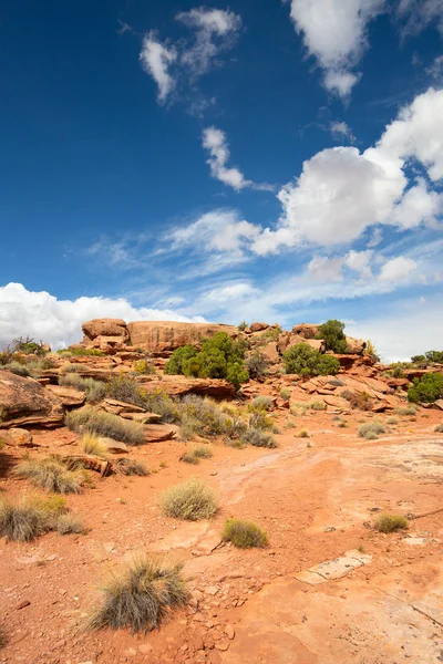 Island Sky Canyonlands Narional Park Utah Usa — Stockfoto