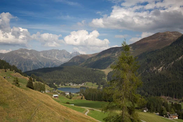 Paysage Automnal Entourant Route Parsennbahn Davos Suisse — Photo