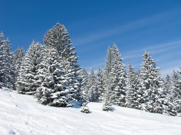 瑞士斯威斯阿尔卑斯山冬季 免版税图库图片