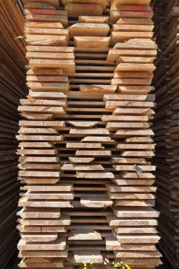 Kereste deposunda bir yığın yeni ahşap çivi.