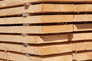 Kereste deposunda bir yığın yeni ahşap çivi.