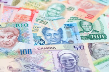 Afrika banknotlarının çeşitliliği