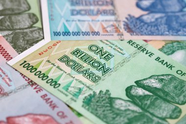 Yüksek enflasyondan sonra Zimbabwe 'nin banknotları