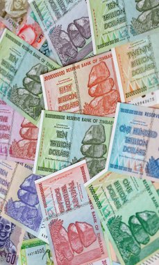 Yüksek enflasyondan sonra Zimbabwe 'nin banknotları
