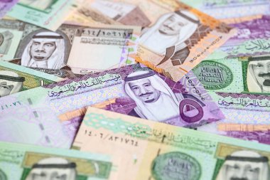 Suudi Arabistan Riyal para koleksiyonu