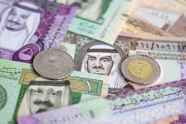 Suudi Arabistan Riyal para koleksiyonu