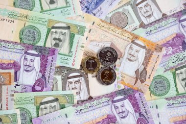 Suudi Arabistan Riyal para koleksiyonu