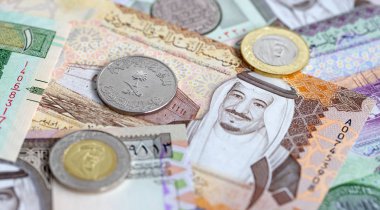 Suudi Arabistan Riyal para koleksiyonu