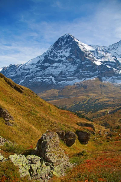 ใบไม วงในภ ภาค Jungfrau — ภาพถ่ายสต็อก