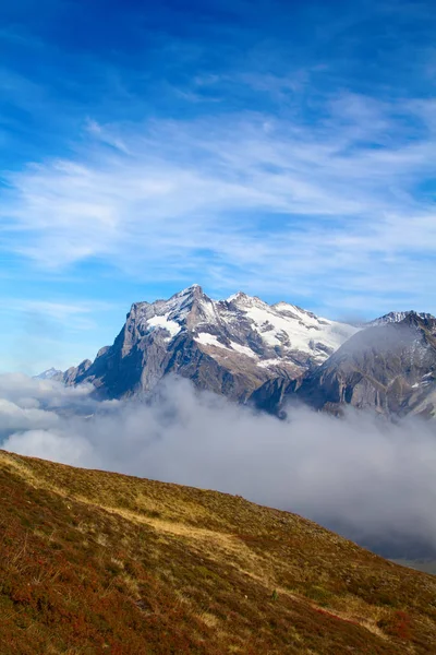 少女峰地区的韦特霍恩山 — 图库照片