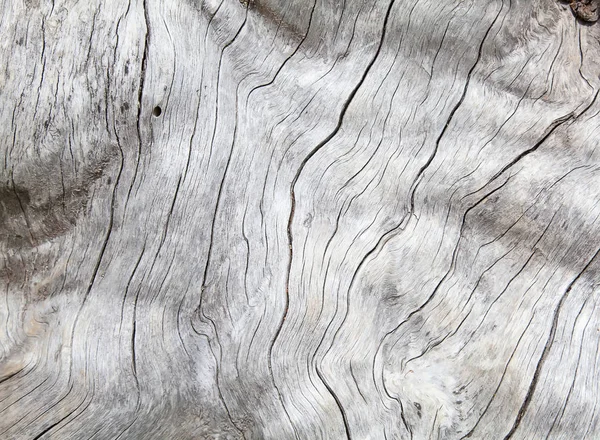 Verwitterte Natürliche Holzstruktur Hintergrund — Stockfoto